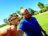 The Ball Marker